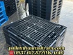Phân phối pallet nhựa giá rẻ tại bình thuận   giá cạnh tranh, giao...