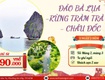 Tour Tết Miền Tây 2N2Đ   SGC Tourist 