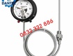 Đồng hồ đo nhiệt độ tiếp điểm điện Wise T710 Trung Quốc Dantek phân phối tại Thái Nguyên...