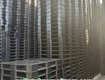 Bán Pallet Nhựa Kê Vật Tư Nông   Công Nghiệp Giá Rẻ, Giao Nhanh Trong Ngày Tại...