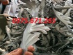 Nhà cung cấp các loại phụ kiện hoa lá sắt mỹ thuật uy tín 