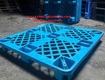 Phân Phối Pallet Nhựa Kê Kho   Xuất Khẩu Giá Siêu Cạnh Tranh Tại Bến Tre 