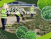 Thi công cỏ công trình nhà máy, nhà xưởng, sân vườn tại Đồng Nai 