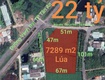 Bán gấp lô đất lúa chuyển thổ đường vành đai tân an giá 22 tỷ...