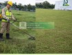 Dịch vụ cắt cỏ   cắt tỉa   chăm sóc cảnh quan KCN An Phước, Long...