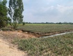 Chính chủ cần bán  gấp đất tại xã thạnh mỹ, tân phước, tiền giang...