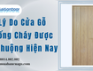 Lý Do Cửa Gỗ Chống Cháy Được Ưa Chuộng Hiện Nay 
