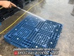Cung cấp pallet nhựa chuyên kê nông sản   phân bón: giá rẻ, giao...