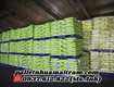 Thanh Lý Pallet Nhựa Giá Rẻ Tại Bình Phước  