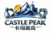 Castle Peak Việt Nam   Giải pháp tự động hóa cho nhà máy 