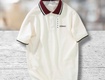 Áo Polo Dormax: Đẳng Cấp Từ Sự Tối Giản 