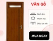 Cửa thép vân gỗ 