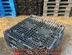 Phân Phối Pallet Nhựa Giá Rẻ Tại Lâm Đồng   Bền Đẹp, Giao Hàng Tận Nơi ...