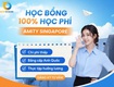 Du học tân đại dương new ocean   chuyên tư vấn hỗ trợ du...