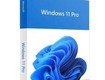 Phần mềm windows pro 11 64bit eng intl 1pk dsp oei dvd  fqc 10528...