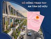 CHỈ HƠN 300TR   CHỐT ngay đất trung tâm BA HÀNG ĐỒI   SỔ ĐỎ SẴN...