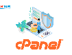 Hosting cpanel ssd tốc độ cao: giải pháp tối ưu cho website