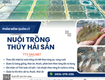 Phần mềm quản lý ao nuôi trồng thủy sản 