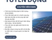 Tuyển dụng chuyên viên esms   cơ hội phát triển trong môi trường chuyên nghiệp 