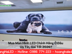 Mua màn hình led chính hãng ở đâu uy tín, giá tốt 2026