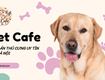 Xu hướng petcafe tại việt nam 