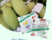 Gói hút ethylen thịnh phong bảo quản cho xoài xuất khẩu