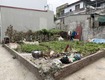 Cần bán lô góc 40m2 Thanh Am, Việt Hưng. Cách 20 ra phố chính   chợ dân...