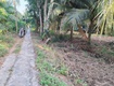 Chính chủ cần bán lô đất có vị trí đẹp tại phường phước hậu   tp.vĩnh long...