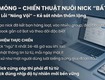 Tại sao 90 nick facebook vừa lập đã bay màu  chiến thuật nuôi nick  bất tử...