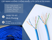 Cáp mạng UTP Cat6 không chống nhiễu   Giải pháp tiết kiệm cho hệ thống mạng 