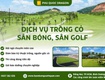 Trồng Cỏ Cảnh Quan Giá Rẻ ở Đồng Nai, TP.HCM 