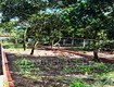 210m  thổ cư, ngay chợ hàm nghi   tp long khánh   đn. cơ hội...