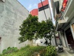 Quán gánh   thường tín   55m2  giá  hơn 5 tỷ  lô góc...