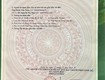 Đất đẹp   giá tốt   chính chủ cần bán tại lê viết thuật, nghi thái,...
