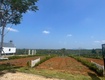 Đất vùng ven Đà Lạt 100m  chỉ 300 triệu, giá tốt khó tìm 