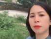 Bán đất 60m ,nhỉnh 2 tỷ oto vào tận đất   cách vin oceanpark  1km 
