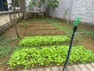 Chính chủ bán gấp   nhà vườn hơn 800m    giá nhỉnh 7 tỷ 