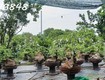 Chính chủ cần bán đất tại ấp sa cá, xã bình an, long thành, đồng nai 