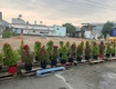 Đất đẹp sát lê văn khương   5x23m   đường 6m thông   giá chỉ...