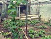 Bán đất ỷ lan đặng xá dt 65m2 vài bước ra ô tô tránh gần trường học các...