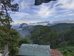 Bán biệt thự 
