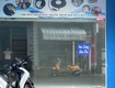 Cho thuê nhà mặt tiền  100m2  đường nguyễn súy, tân phú, phù hợp...