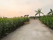 Chính chủ cần bán gấp lô hơn 93m2 tại Vĩnh Trai   Trung Chính   Bắc...