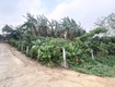 Lô đất 1510m2  đẹp tiềm năng sinh lời gần khu cn cao hòa lạc, phú cát ...