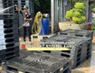 Phân phối pallet nhựa bình phước bền đẹp   giá rẻ, miễn phí giao...