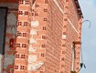 Bán gấp vườn sầu riêng 16 000m  250 cây gần 1 năm tuổi cẩm mỹ đồng nai...