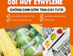 Gói hút ethylene   giữ tươi trái cây, hạn chế hư hỏng khi vận...