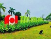 Bán đất mặt phố kđt tân phú hưng, ph tân hưng, tp hải dương, 67.5m2,...