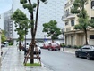 Nhỉnh 20.x tỷ hàng gốc chủ đầu tư căn biệt thự song lập kinh đô 150m  ...