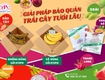 Gói hút khí ethylene bảo vệ trái cây hiệu quả xuất khẩu 
